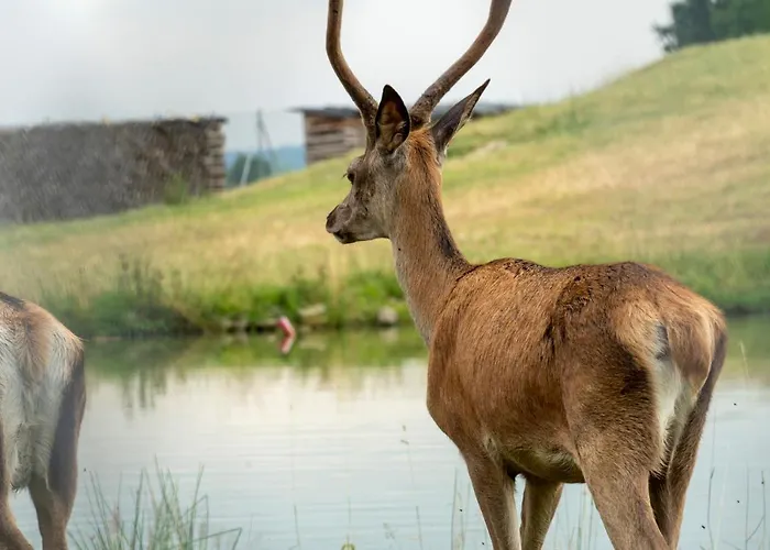 V Soukromi V Sachu Landhuis *